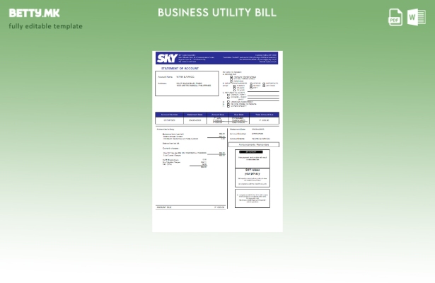 Модерен стил, шаблон за деловна сметка за комунални услуги Sky Cable Corporation